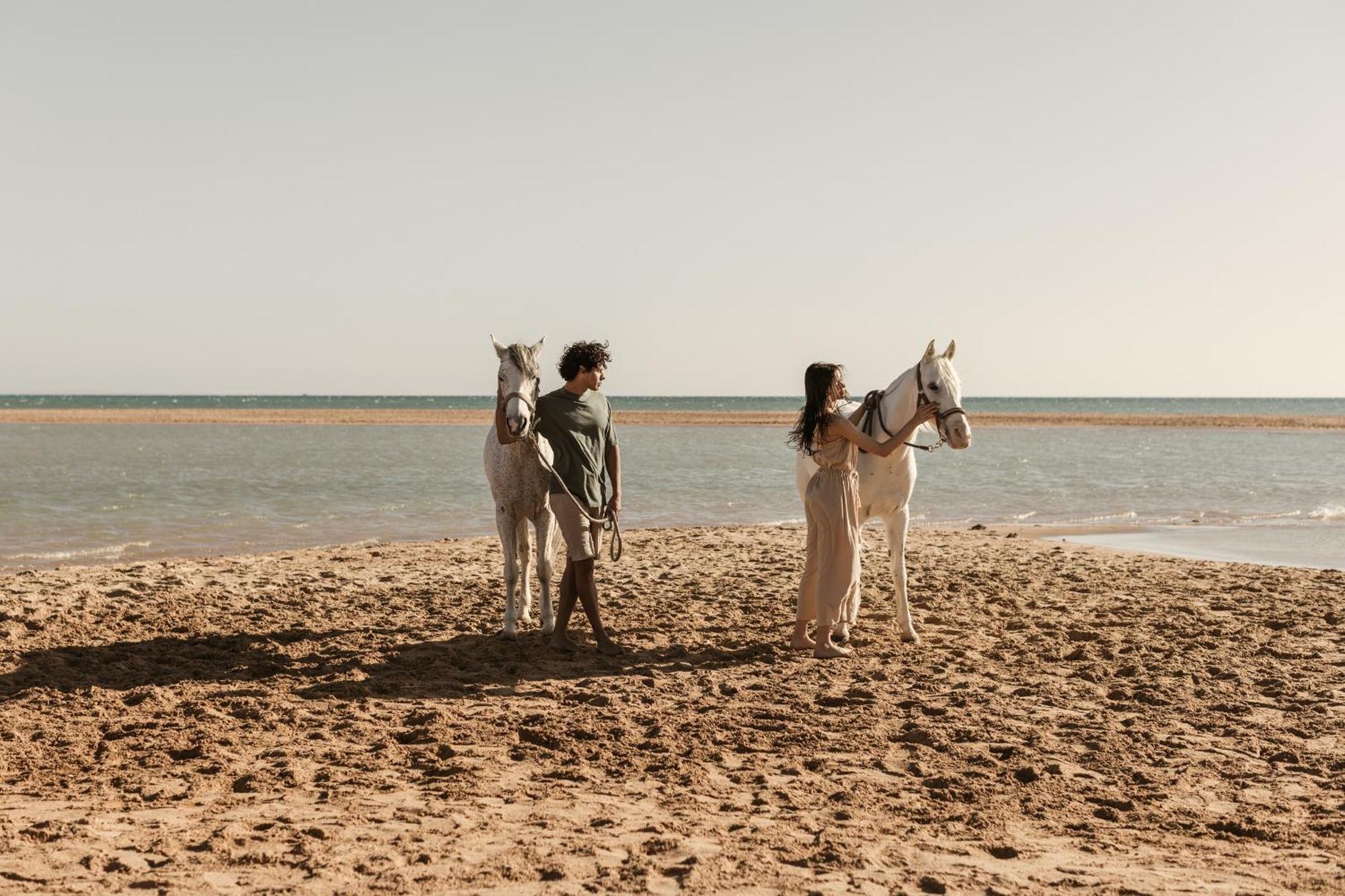 Casa Cook - Adults Only 5* El Gouna
